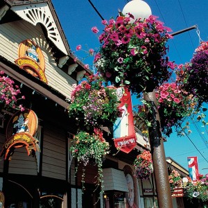 Flowers Outside Stores