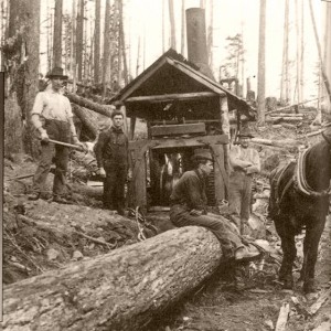  Logging History in Chemainus